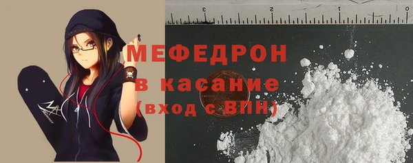 МДПВ Протвино