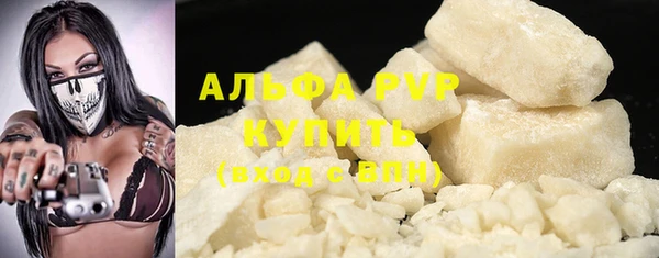 шишки Алзамай