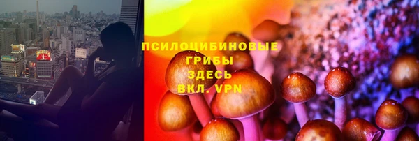 мяу мяу кристалл Алексин