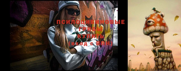 индика Пролетарск