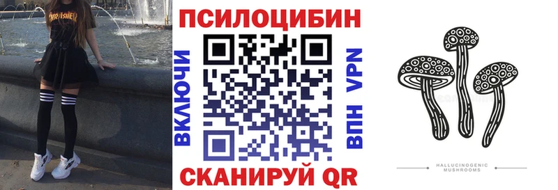 купить наркотики сайты  Зеленоградск  shop наркотические препараты  Галлюциногенные грибы мухоморы 